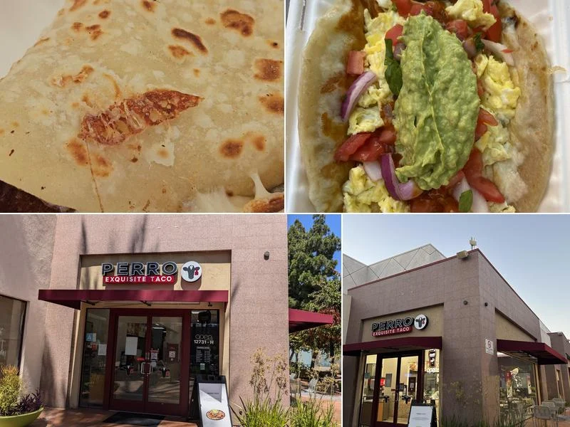 Perro Exquisite Taco business photo