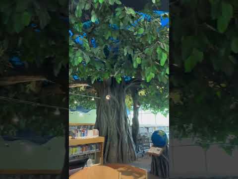 📍Cerritos Library video thumbnail